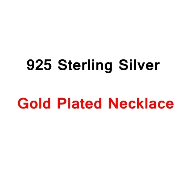 Custom Pet Photo Pendant Necklace Engraved Name 925 Sterling Silver Dog Tag Necklace for Women Men Memorial Best Christmas Gift