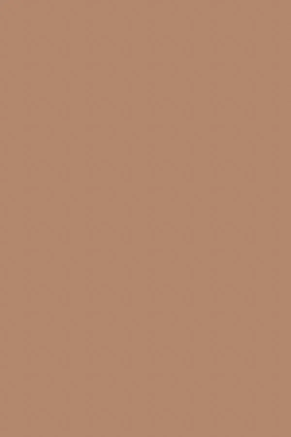 Taupe | Flat Waxed Shoelaces