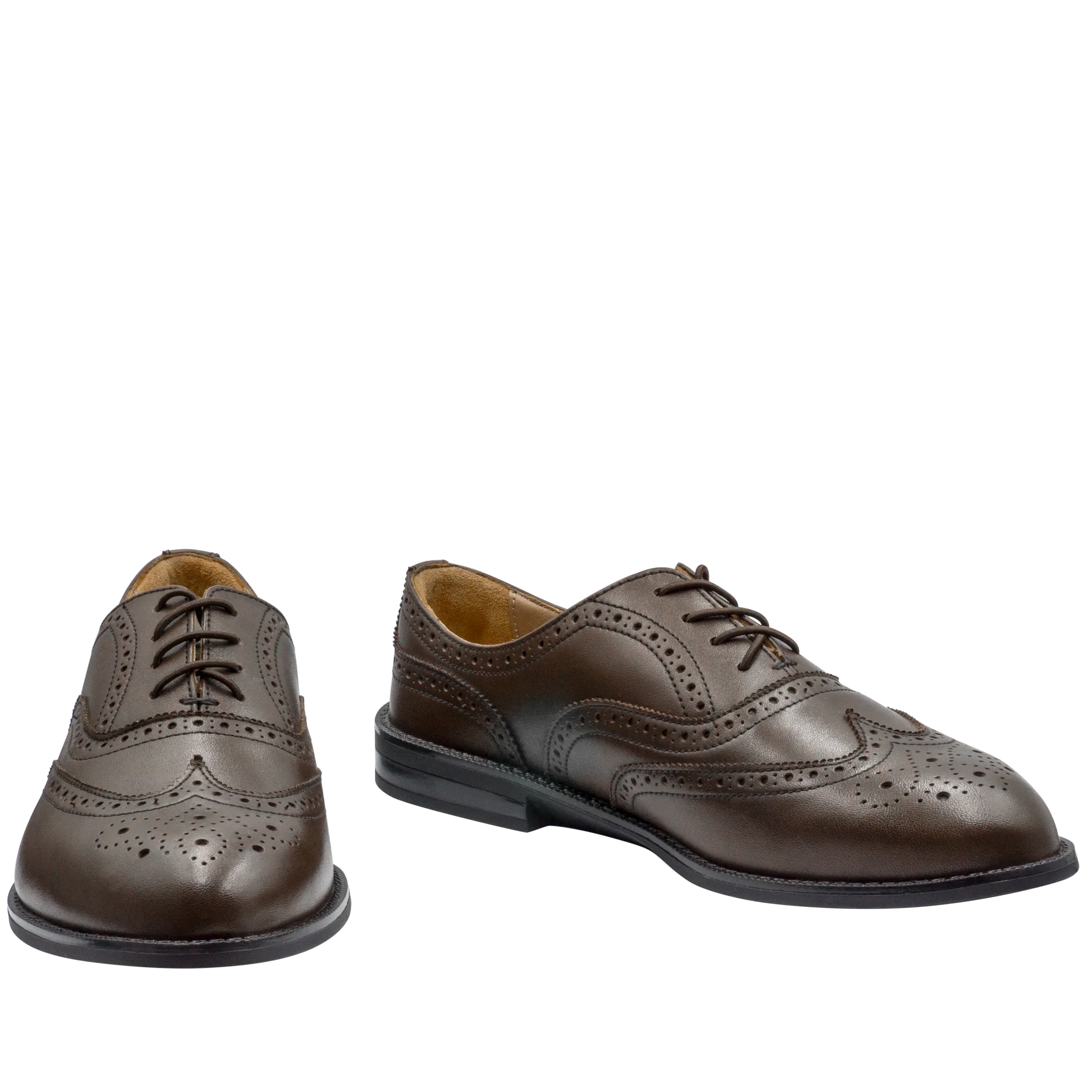 VICTORIA Wingtip Oxfords, Brown Colors (Outlet)