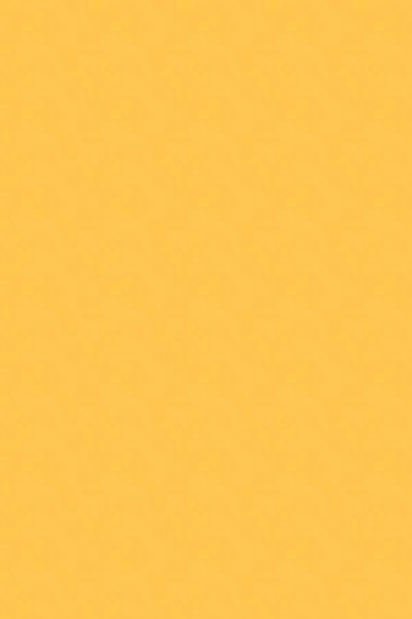 Yellow | Flat Waxed Shoelaces