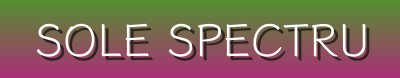 Elevate Your Footwear Style with Trendy & Timeless Designs | Sole Spectrum Boutique